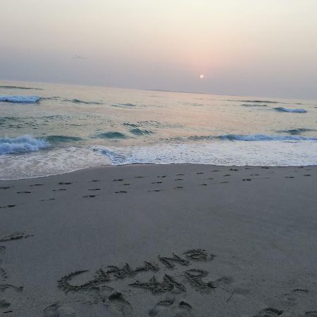 Caline Vip Apartments, Beach Close Блубергстранд Екстериор снимка
